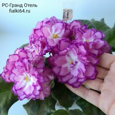 РС-Гранд Отель (Репкина)  